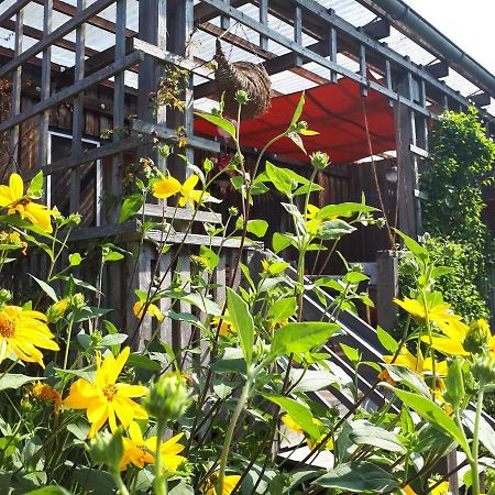 Holzhaus Mit Gruener Aussicht Zum Erholen Burgheim Exterior foto